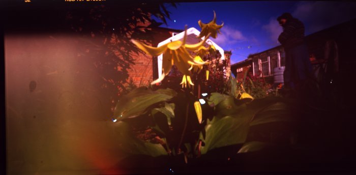 pinhole photograph