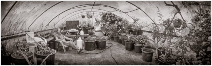 pinhole photograph