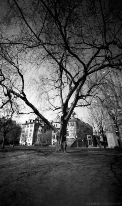 pinhole photograph