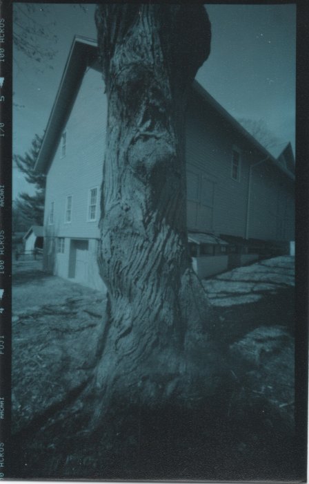 pinhole photograph