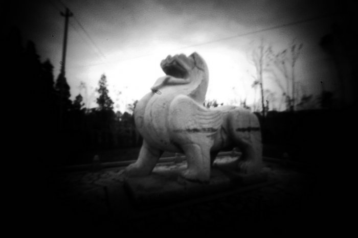 pinhole photograph