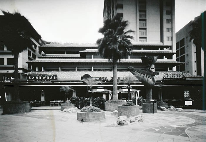 pinhole photograph