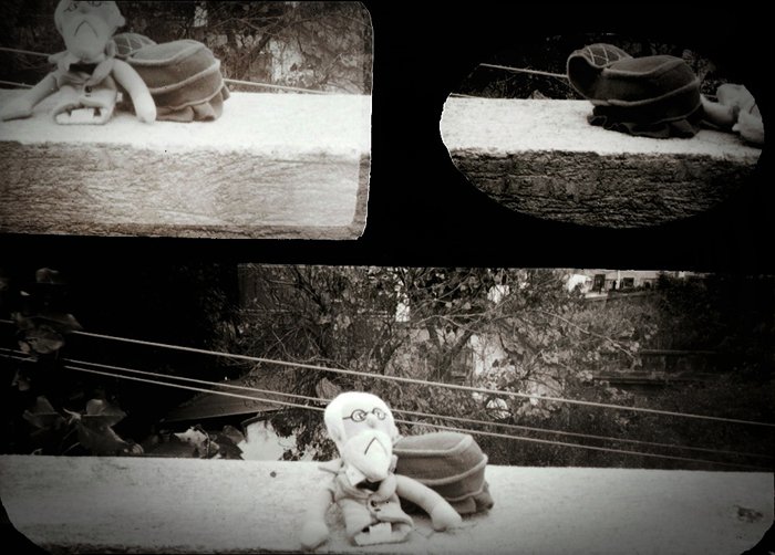 pinhole photograph