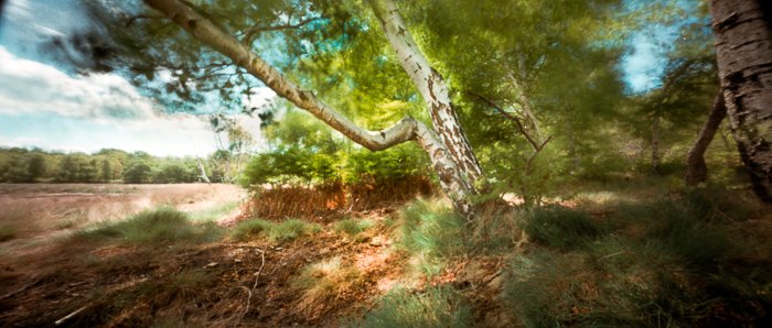 pinhole photograph