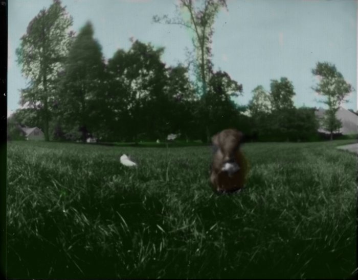 pinhole photograph