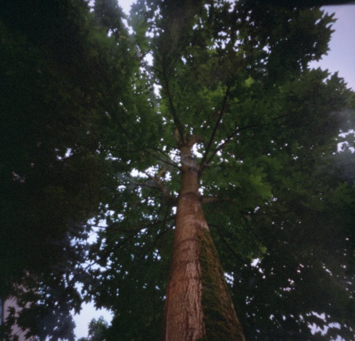 pinhole photograph