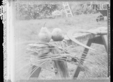 pinhole photograph