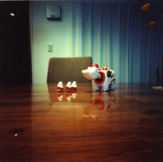 pinhole photograph