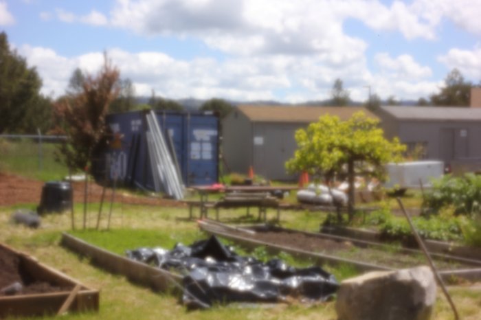 pinhole photograph