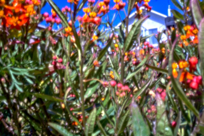 pinhole photograph