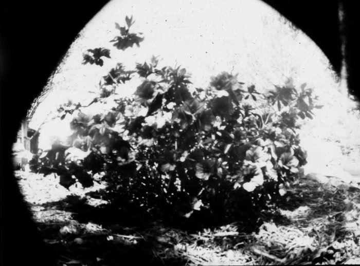 pinhole photograph