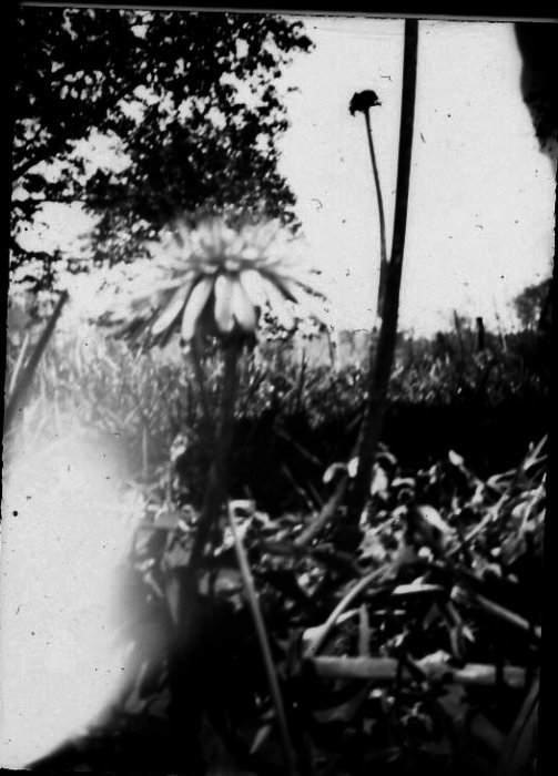 pinhole photograph