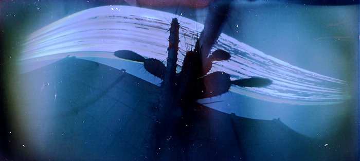 pinhole photograph