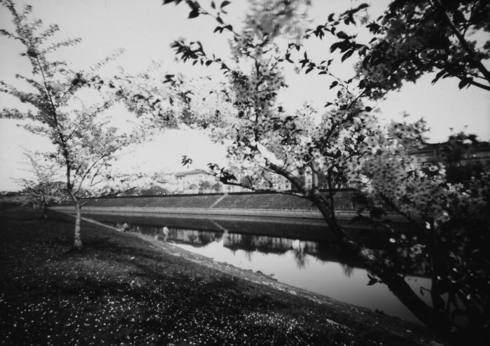 pinhole photograph