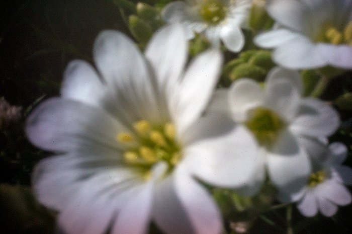 pinhole photograph