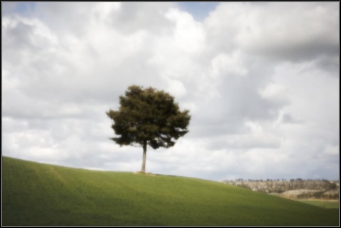 pinhole photograph
