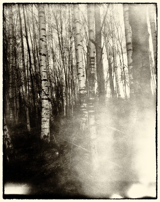 pinhole photograph