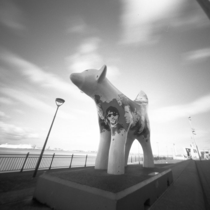 pinhole photograph