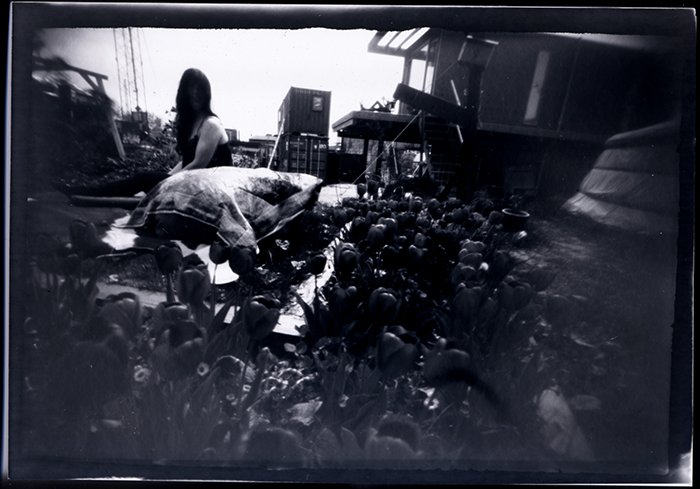 pinhole photograph