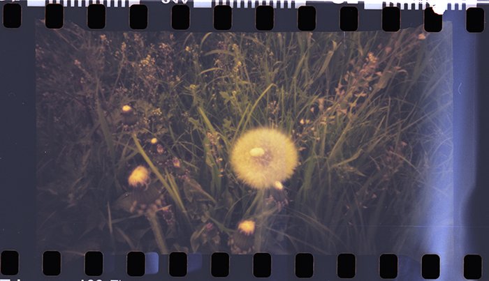 pinhole photograph