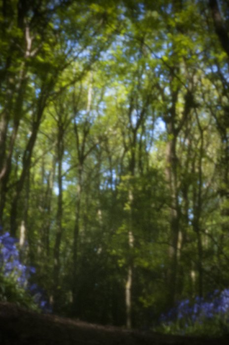 pinhole photograph