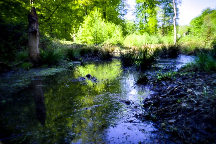 pinhole photograph