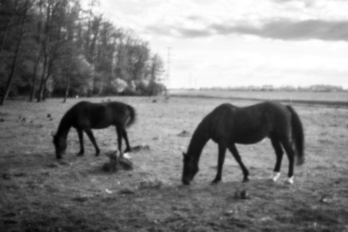 pinhole photograph