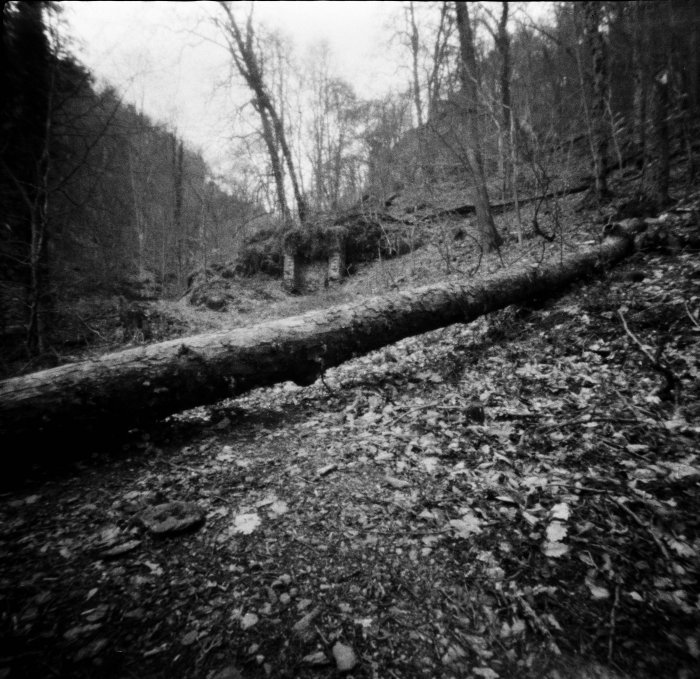 pinhole photograph