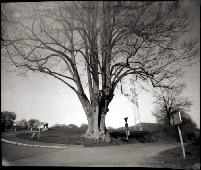 pinhole photograph