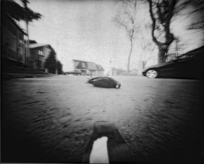 pinhole photograph