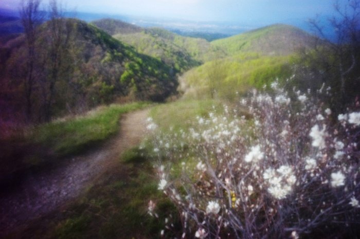 pinhole photograph