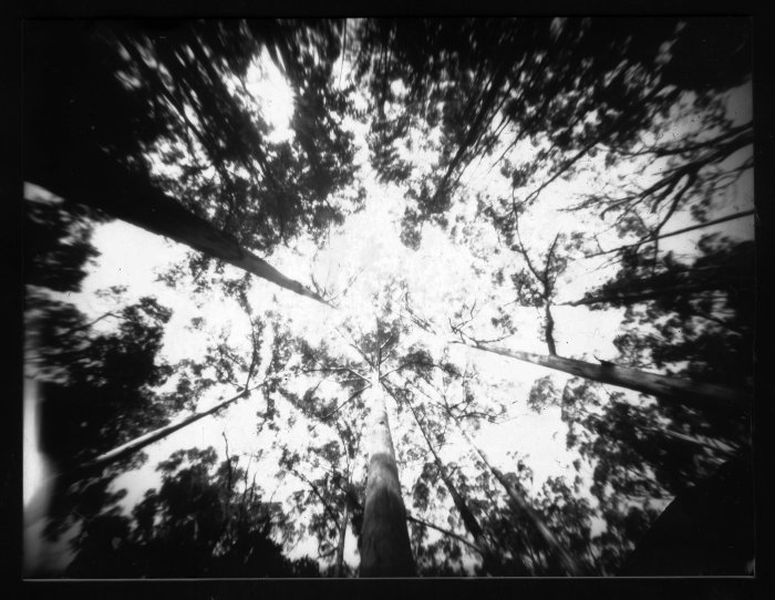 pinhole photograph