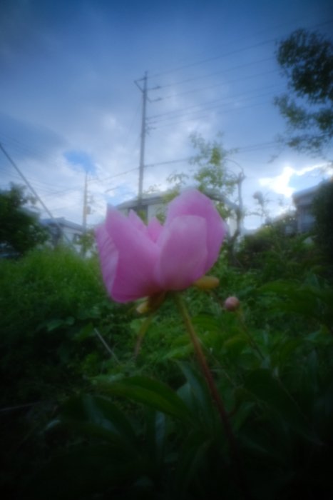 pinhole photograph