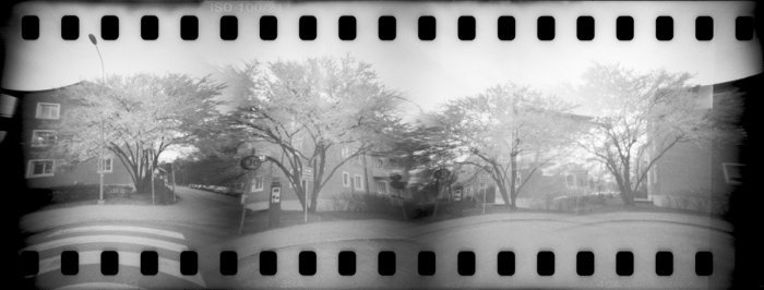 pinhole photograph