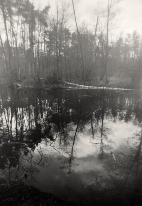 pinhole photograph