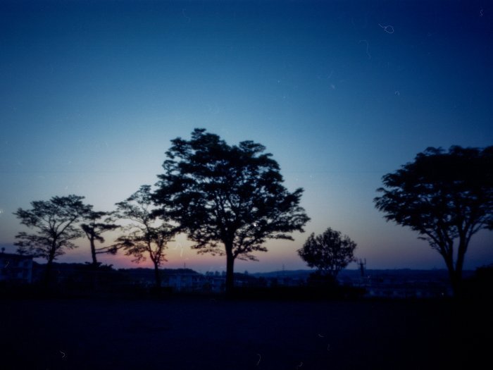 pinhole photograph