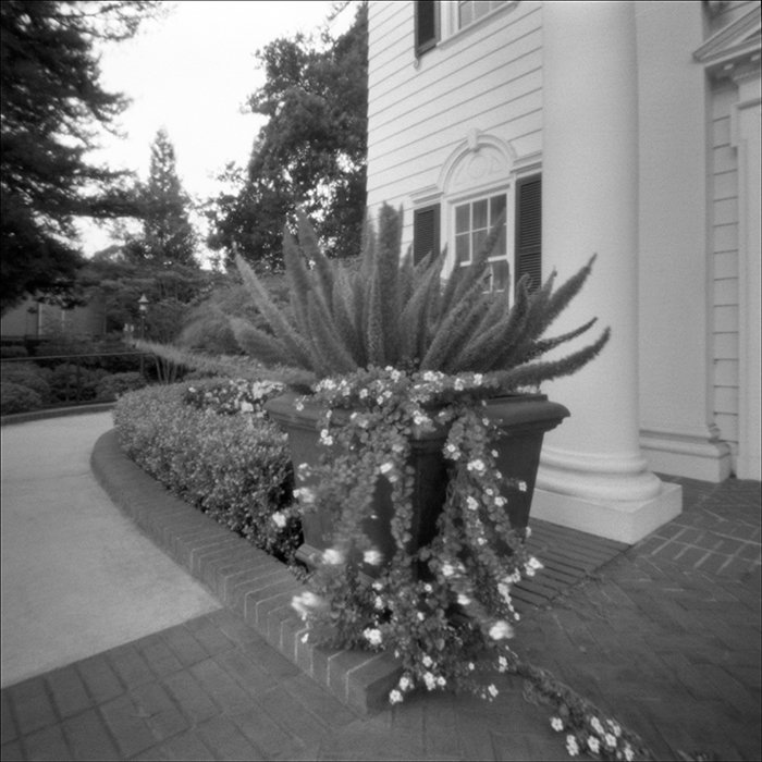 pinhole photograph