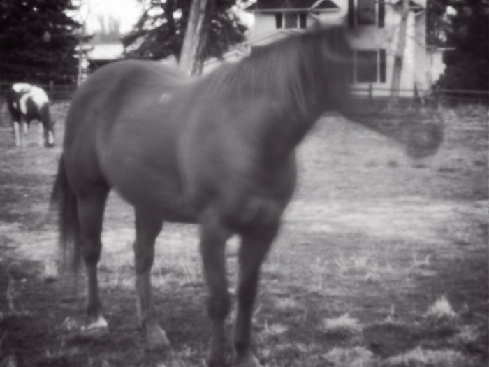 pinhole photograph