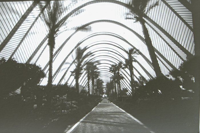 pinhole photograph