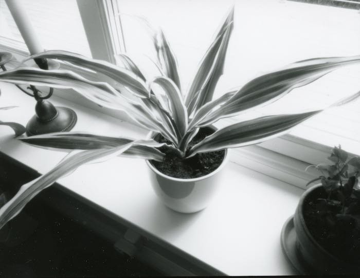 pinhole photograph