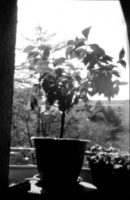 pinhole photograph