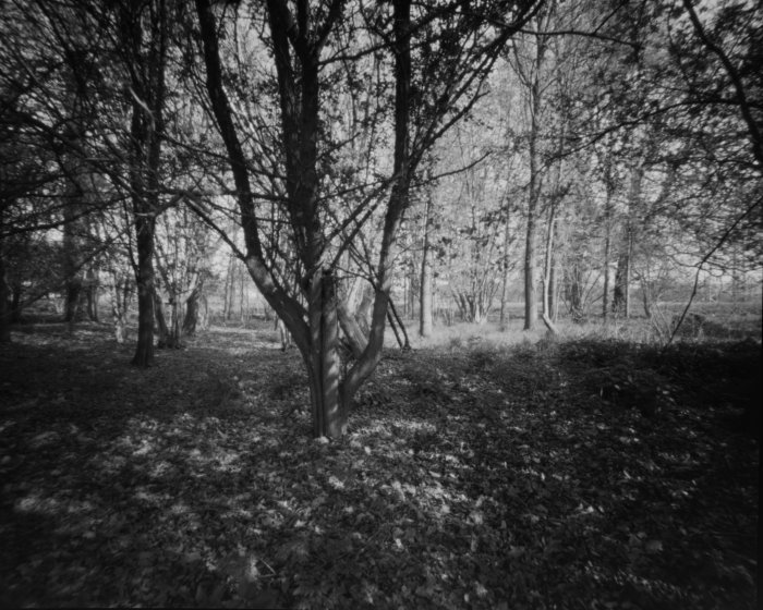 pinhole photograph