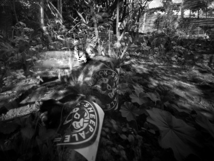 pinhole photograph