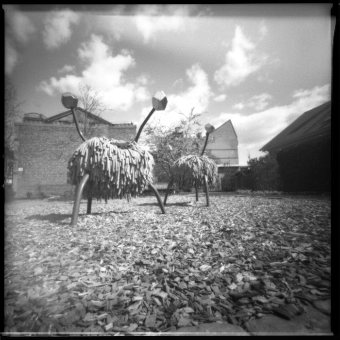 pinhole photograph