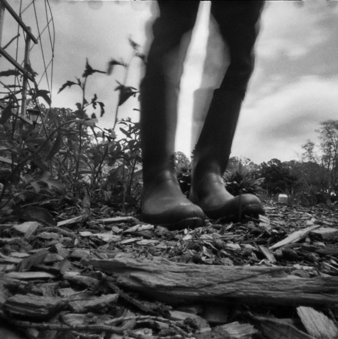 pinhole photograph