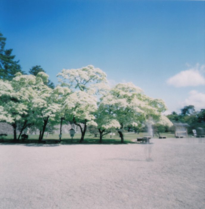 pinhole photograph