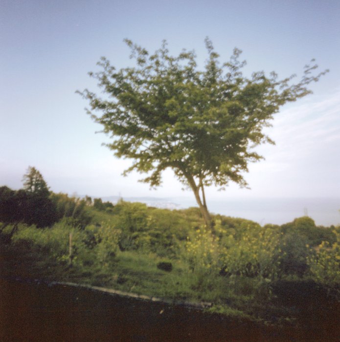 pinhole photograph