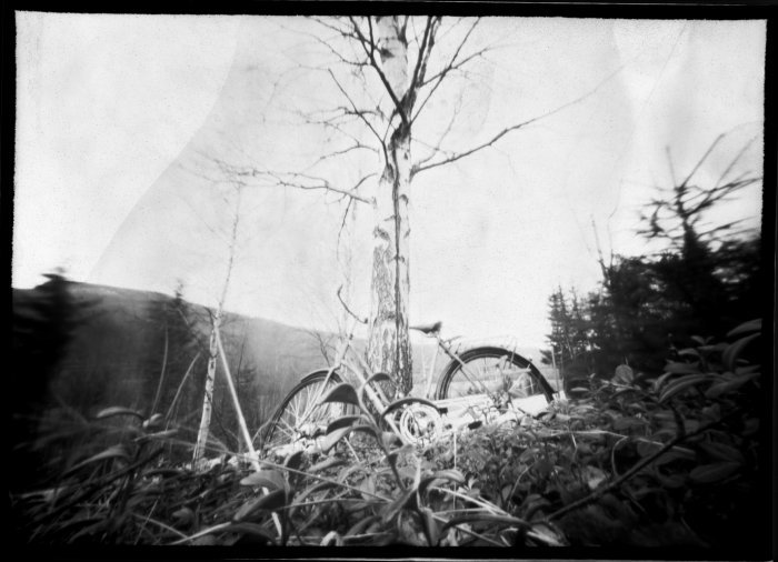 pinhole photograph