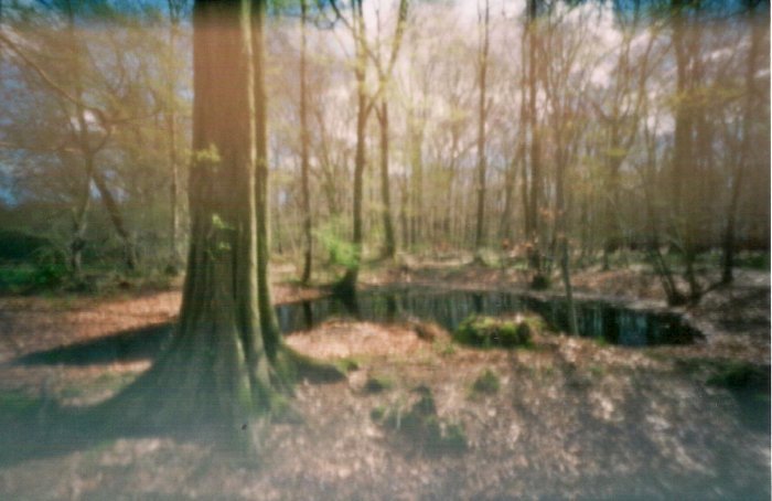 pinhole photograph