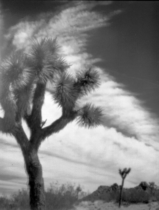 pinhole photograph